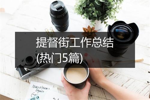 提督街工作总结(热门5篇)