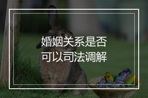 婚姻关系是否可以司法调解