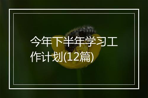 今年下半年学习工作计划(12篇)