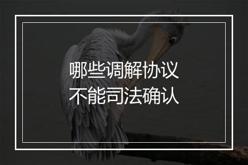 哪些调解协议不能司法确认
