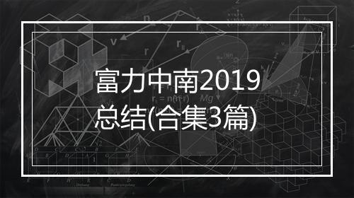 富力中南2019总结(合集3篇)