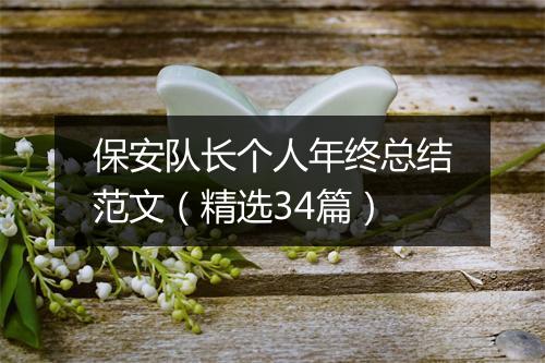 保安队长个人年终总结范文（精选34篇）