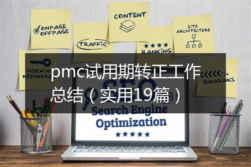 pmc试用期转正工作总结（实用19篇）