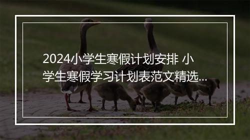 2024小学生寒假计划安排 小学生寒假学习计划表范文精选8篇