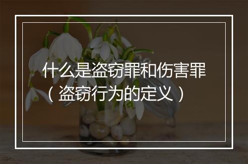 什么是盗窃罪和伤害罪（盗窃行为的定义）