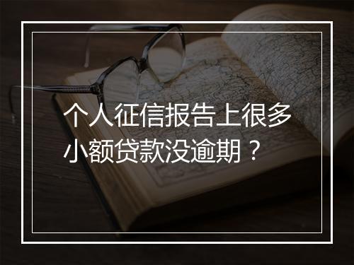 个人征信报告上很多小额贷款没逾期？