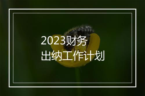 2023财务出纳工作计划