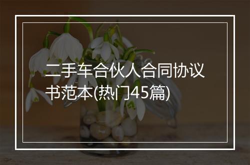 二手车合伙人合同协议书范本(热门45篇)