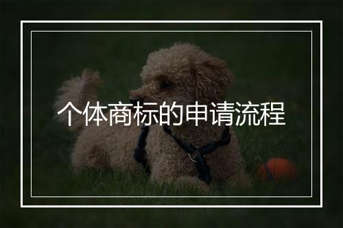 个体商标的申请流程