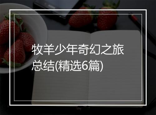 牧羊少年奇幻之旅总结(精选6篇)