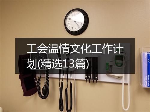工会温情文化工作计划(精选13篇)