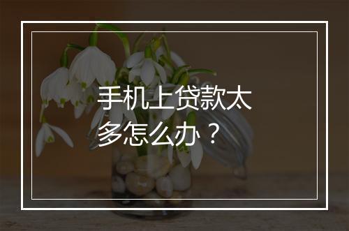 手机上贷款太多怎么办？
