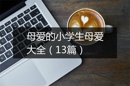 母爱的小学生母爱大全（13篇）