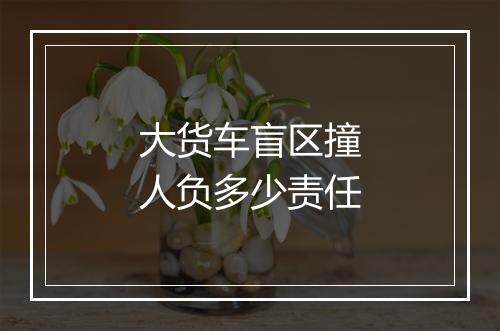 大货车盲区撞人负多少责任