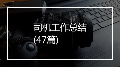 司机工作总结(47篇)