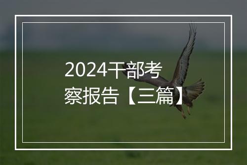 2024干部考察报告【三篇】