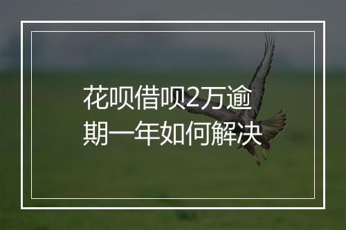 花呗借呗2万逾期一年如何解决