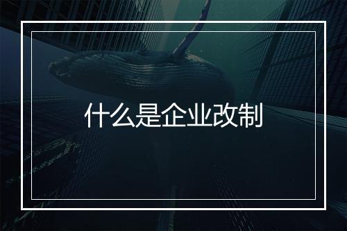 什么是企业改制