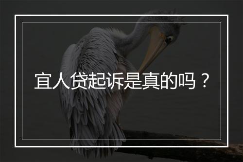 宜人贷起诉是真的吗？