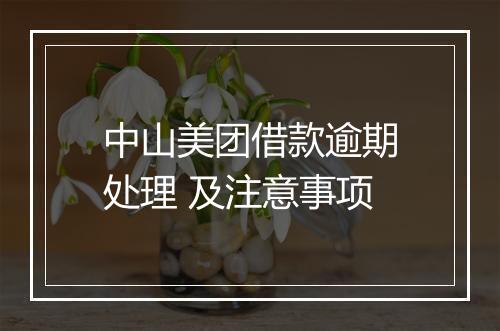 中山美团借款逾期处理 及注意事项
