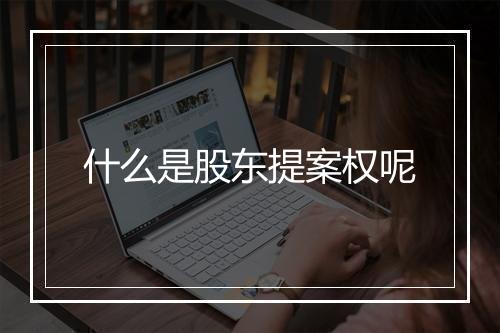 什么是股东提案权呢