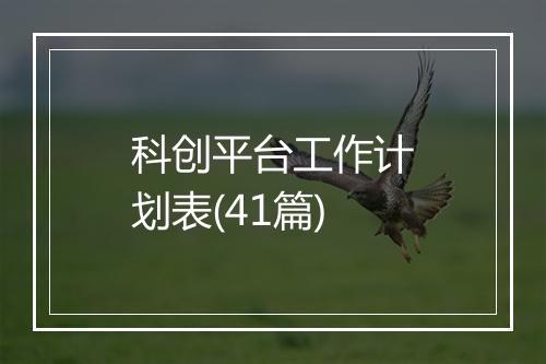 科创平台工作计划表(41篇)
