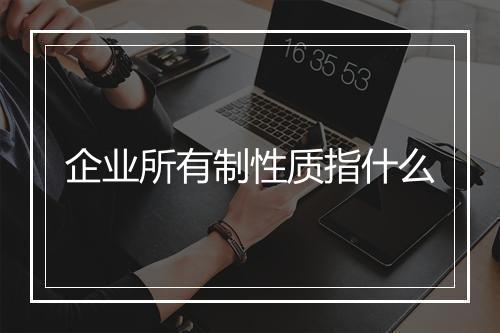 企业所有制性质指什么