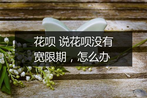花呗 说花呗没有宽限期，怎么办