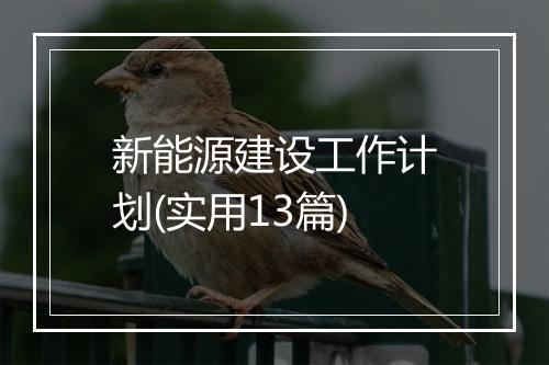 新能源建设工作计划(实用13篇)