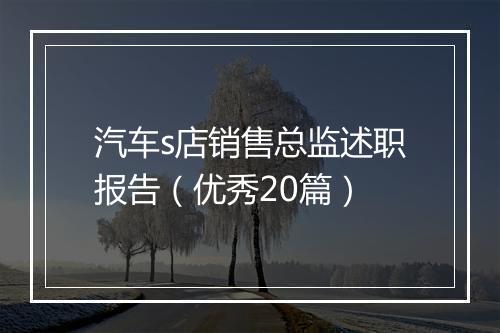 汽车s店销售总监述职报告（优秀20篇）