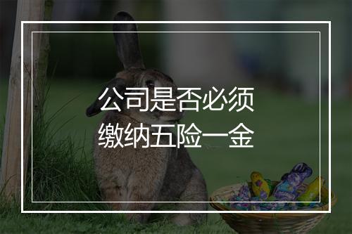 公司是否必须缴纳五险一金