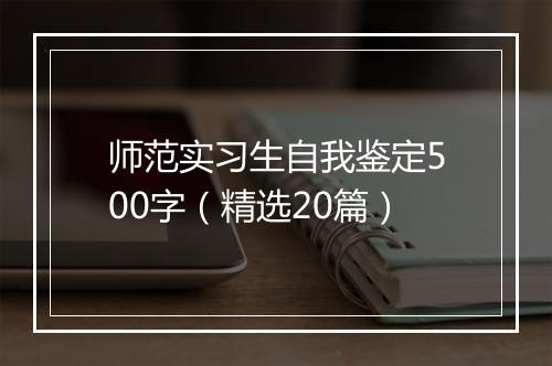 师范实习生自我鉴定500字（精选20篇）