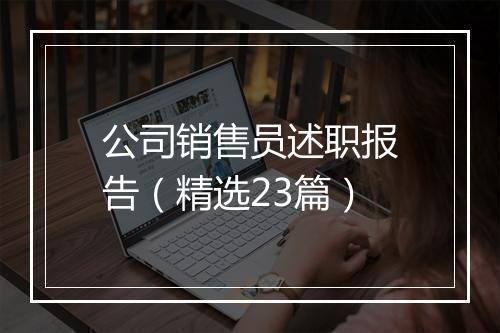 公司销售员述职报告（精选23篇）