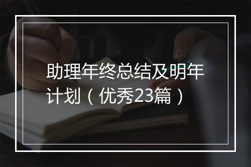 助理年终总结及明年计划（优秀23篇）
