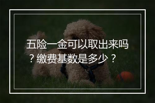 五险一金可以取出来吗？缴费基数是多少？