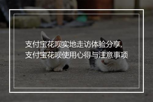 支付宝花呗实地走访体验分享,支付宝花呗使用心得与注意事项
