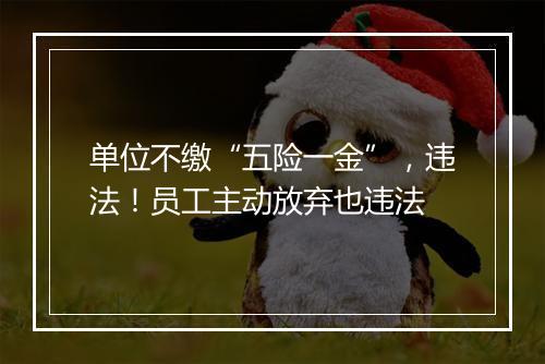单位不缴“五险一金”，违法！员工主动放弃也违法
