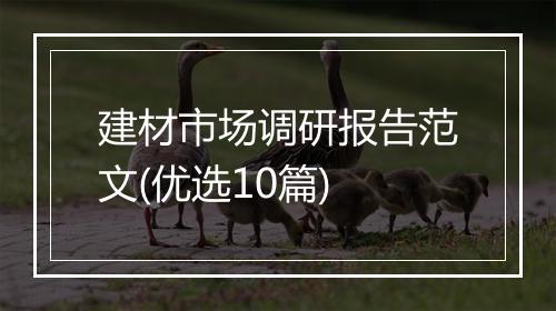 建材市场调研报告范文(优选10篇)