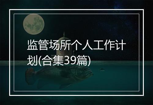 监管场所个人工作计划(合集39篇)