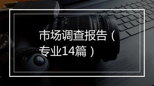 市场调查报告（专业14篇）