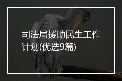 司法局援助民生工作计划(优选9篇)