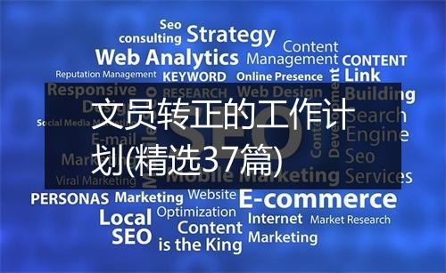 文员转正的工作计划(精选37篇)
