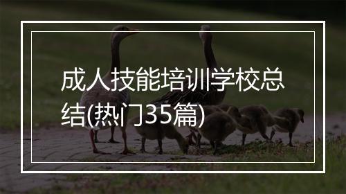成人技能培训学校总结(热门35篇)