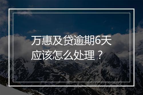 万惠及贷逾期6天应该怎么处理？