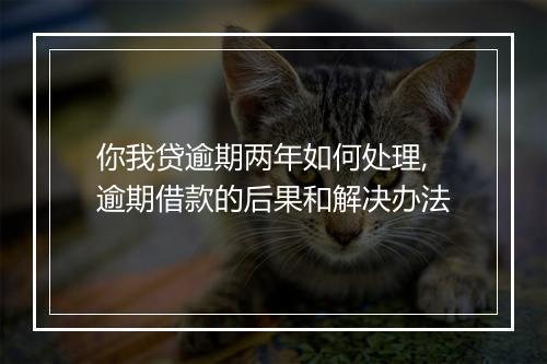 你我贷逾期两年如何处理,逾期借款的后果和解决办法