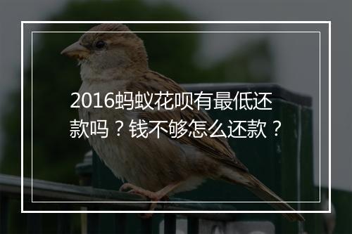 2016蚂蚁花呗有最低还款吗？钱不够怎么还款？