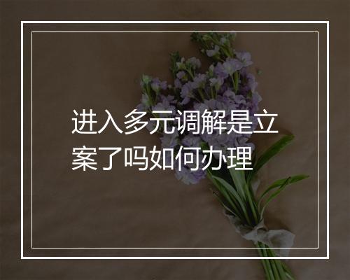 进入多元调解是立案了吗如何办理