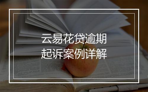 云易花贷逾期起诉案例详解