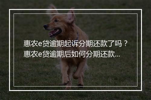 惠农e贷逾期起诉分期还款了吗？惠农e贷逾期后如何分期还款？