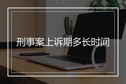刑事案上诉期多长时间